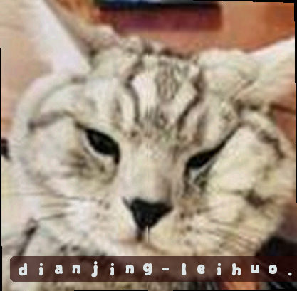 王浩